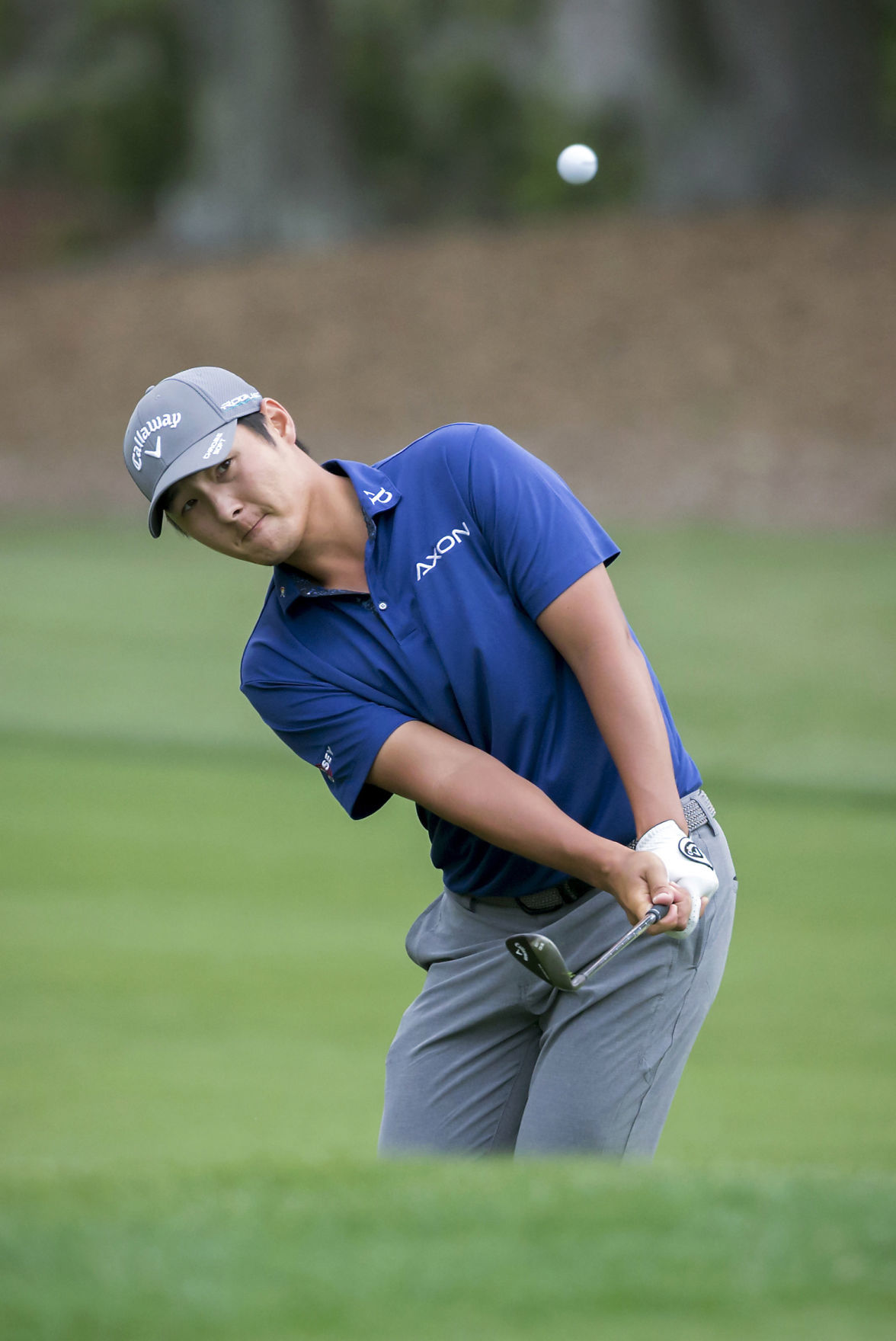 RBC Heritage Golf